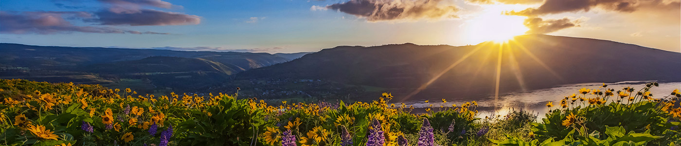 Sunrise with beautiful flowers in overlooking the Columbia River in Aloha Oregon