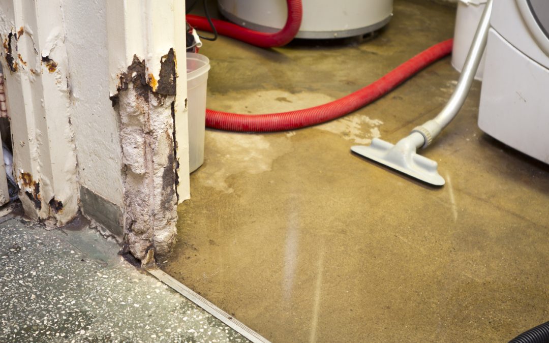 Five Simple Ways to Prevent Water Damage in Your Home
