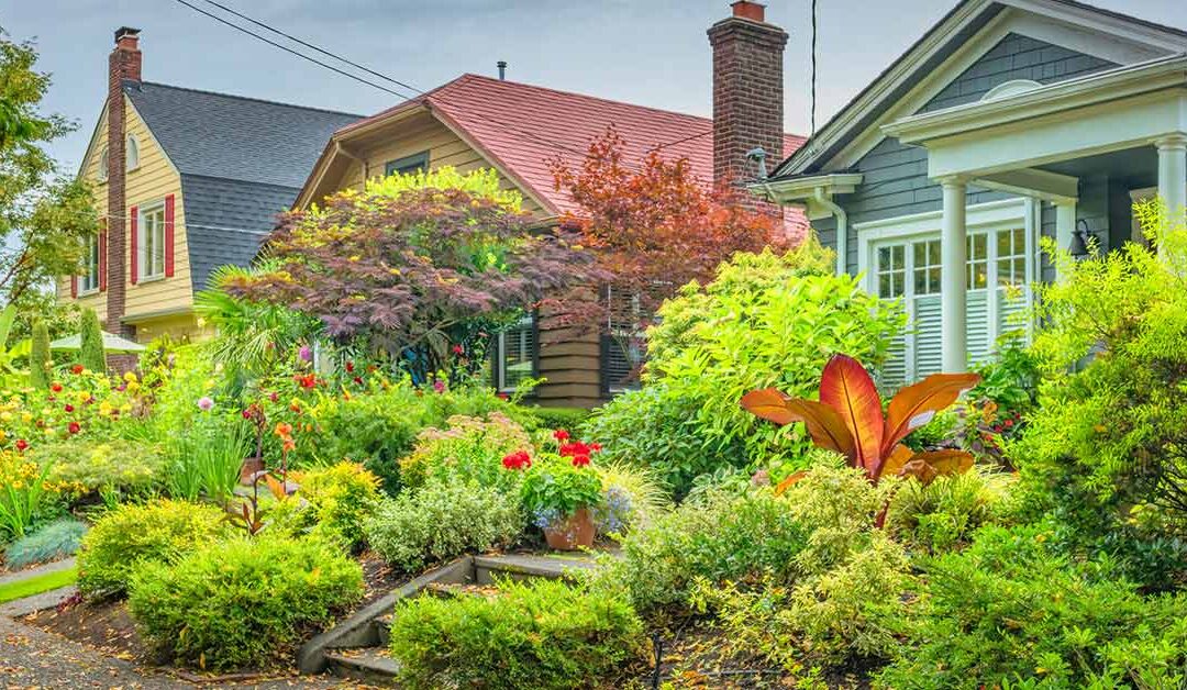 How Does Trenchless Sewer Repair Work?