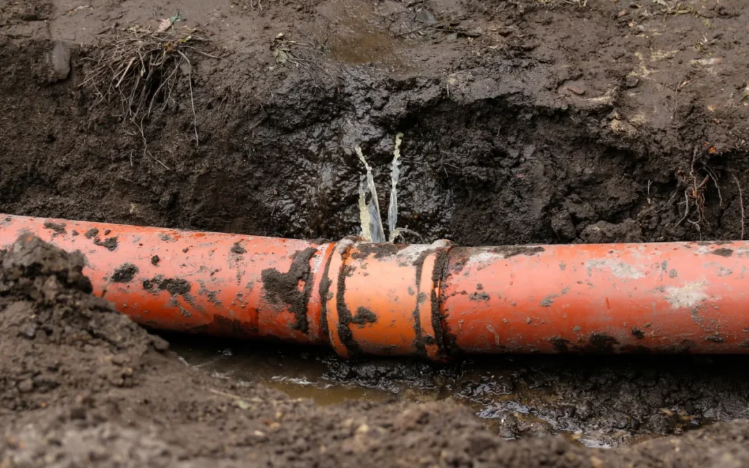 Sewer Repair