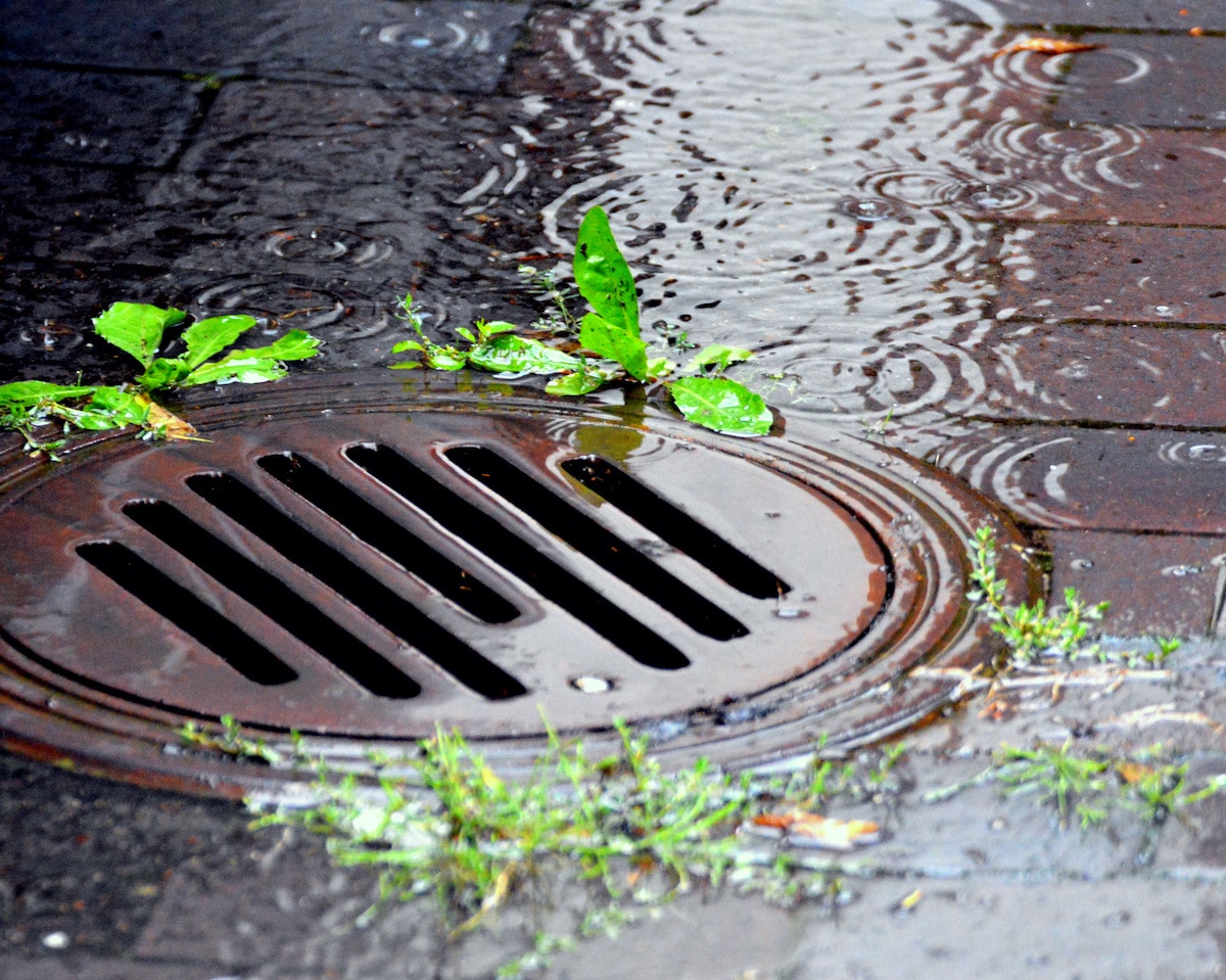 Storm Drain in Portland, OR